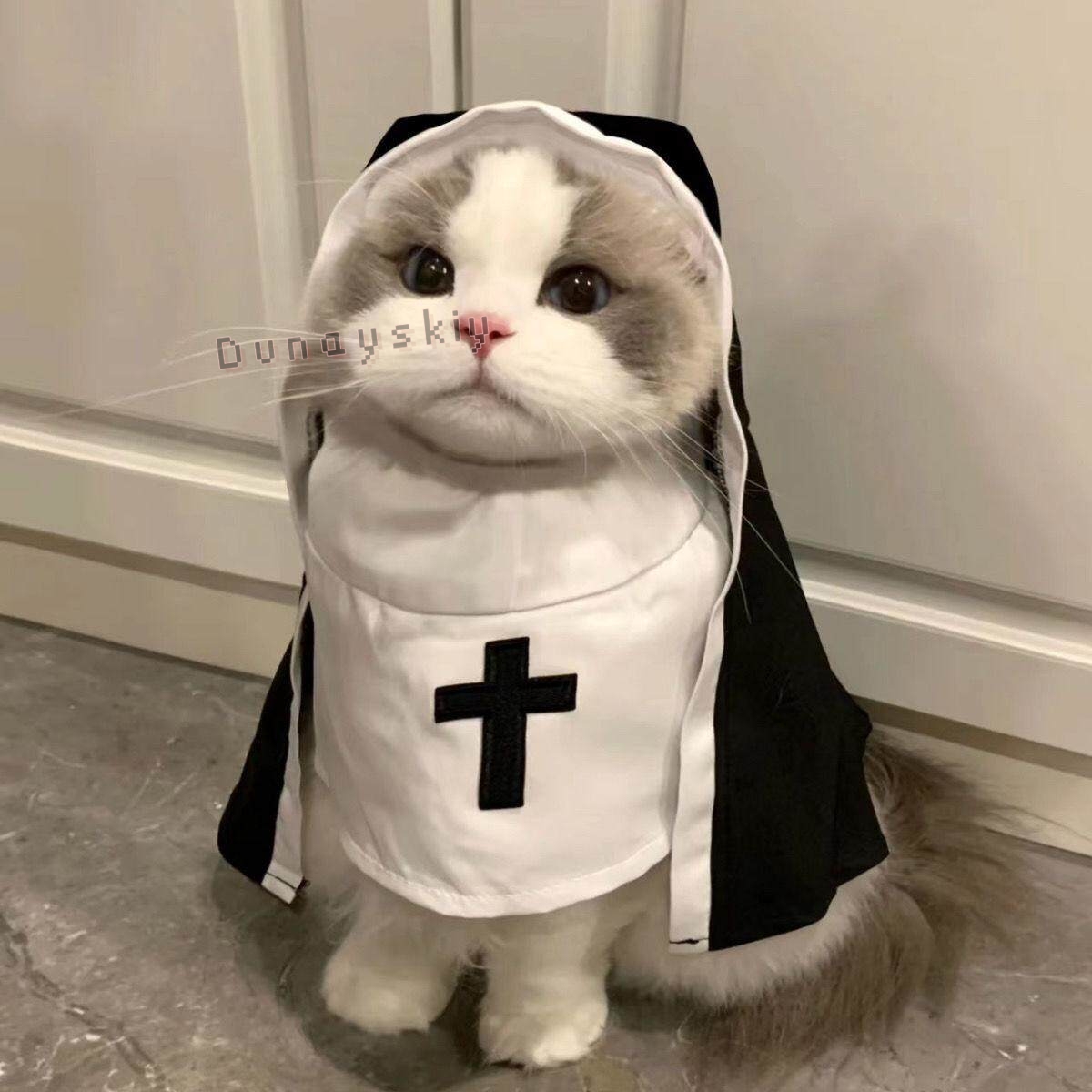 Anime Cosplay Nun - Costume de Noël pour animaux de
